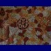 Aboriginal Art Canvas - Debra West-Size:69x91cm - H